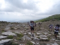 DSC02462