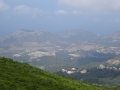DSC02465