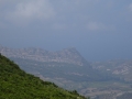 DSC02468