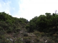DSC02469