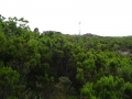DSC02470