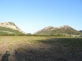 DSC02495