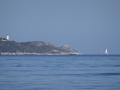 DSC02510
