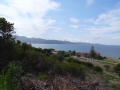 DSC02520