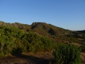 DSC02583