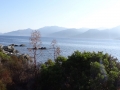 DSC02590