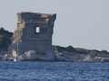 DSC02614