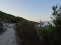 DSC02641