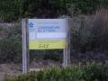 DSC02690