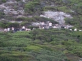 DSC02697