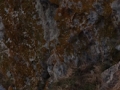 DSC02707