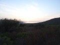 DSC02760