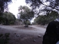 DSC02763