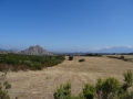 DSC02781