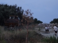 DSC02798