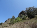 DSC02880