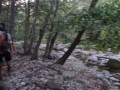DSC02903