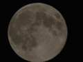 DSC02918
