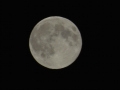 DSC02919