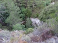 DSC02925