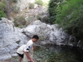 DSC02929