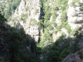 DSC02950