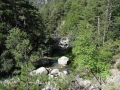 DSC02956