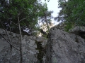 DSC02963