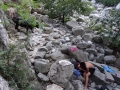 DSC02974