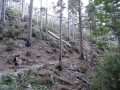 DSC02998