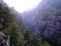 DSC03007