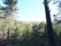 DSC03038