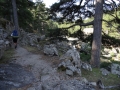 DSC03040