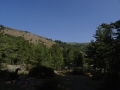 DSC03048