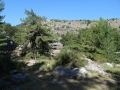DSC03049