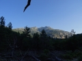 DSC03071