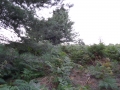 DSC03080