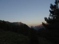 DSC03082
