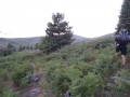 DSC03086
