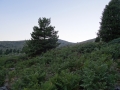 DSC03087