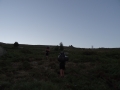 DSC03089
