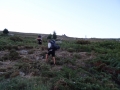 DSC03090