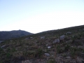 DSC03094