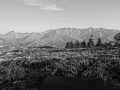 DSC03131