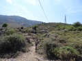 DSC03151