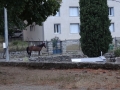 DSC03159