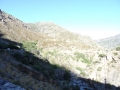 DSC03176