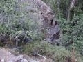 DSC03179