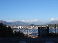 DSC03241