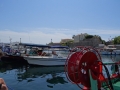 DSC03276